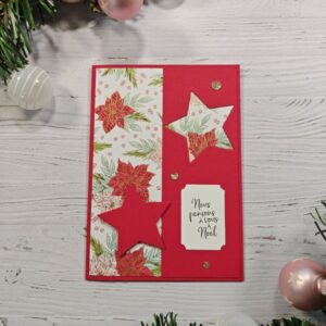 Carte de voeux poinsettia et étoile