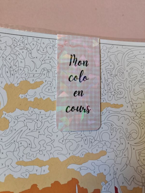 Marque-page aimanté Mon colo en cours