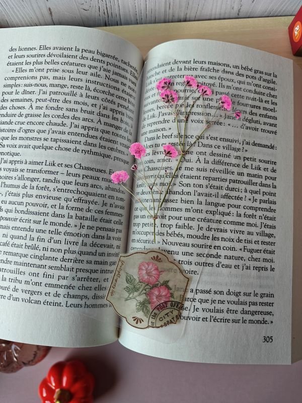Marque-page Gypsophile rose